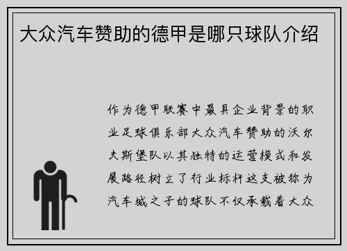 大众汽车赞助的德甲是哪只球队介绍